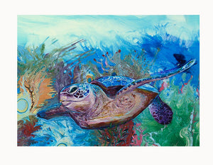 Coral Reef Turtle Original